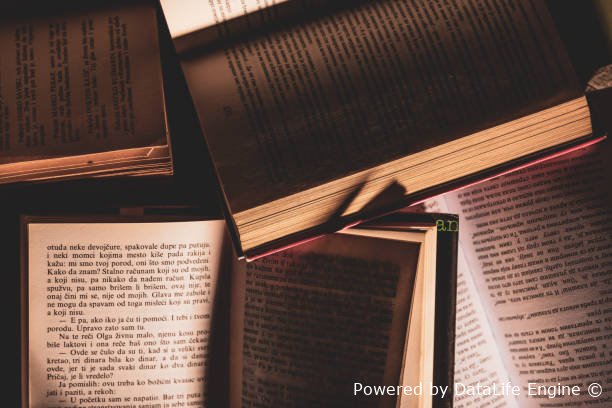 📚 Онлайн-чтение книг на Hub Books | Бесплатный доступ к библиотеке | Читайте книги онлайн на Hub Books!